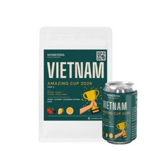 Vietnam - 8Ro Top 2 Amazing Cup 2026