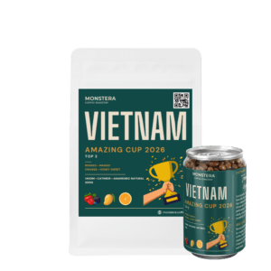 Vietnam - 8Ro Top 2 Amazing Cup 2026
