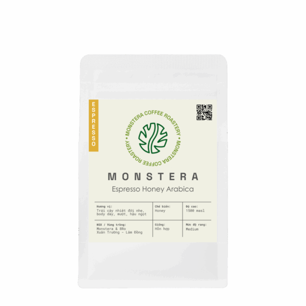 Vietnam - Monstera Espresso Honey Arabica