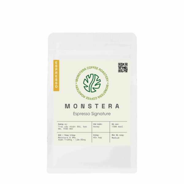 Vietnam - Monstera Espresso Signature