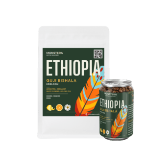 Ethiopia – Guji Bishala G1