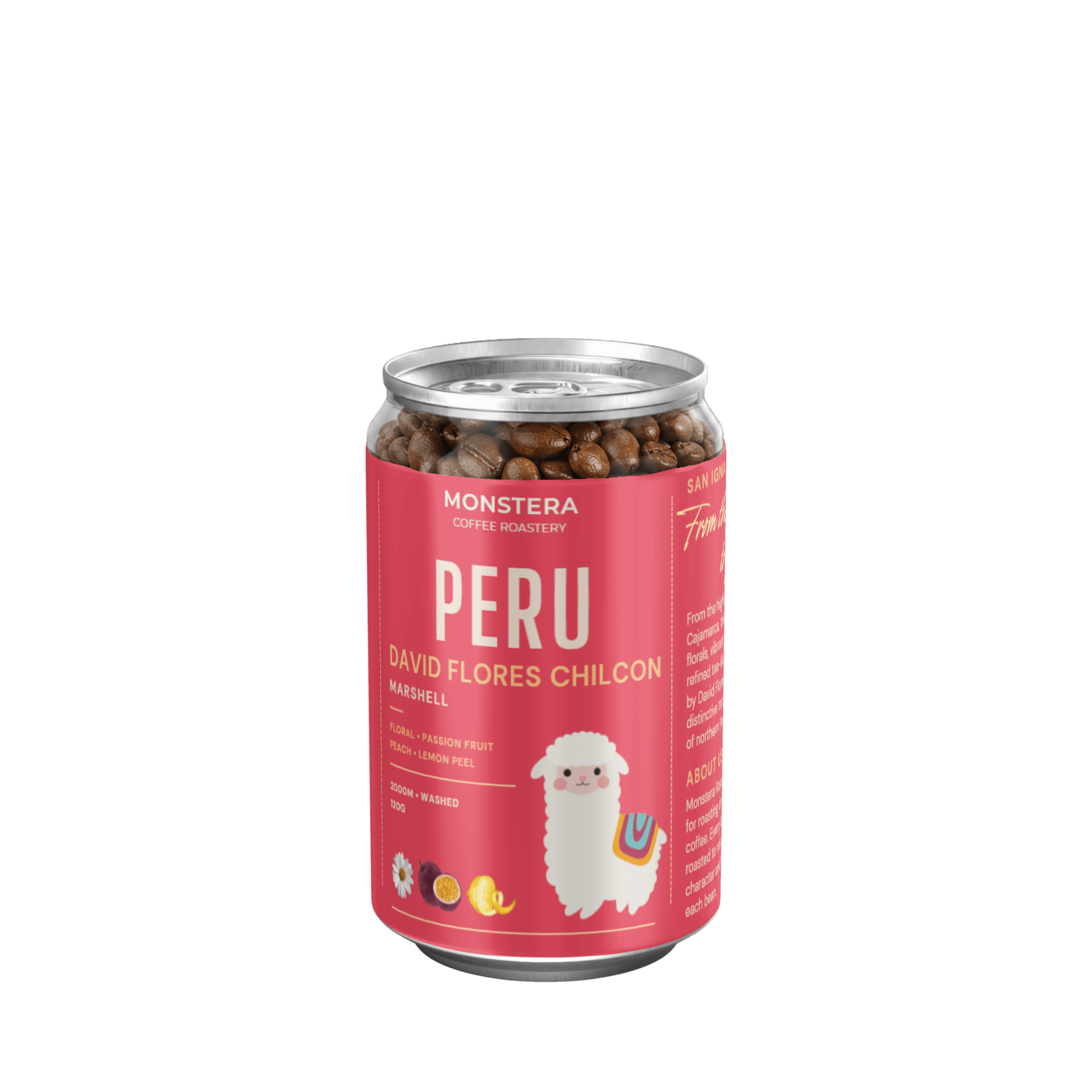 Peru - San Ignacio David Flores Chilcon - Ảnh 2