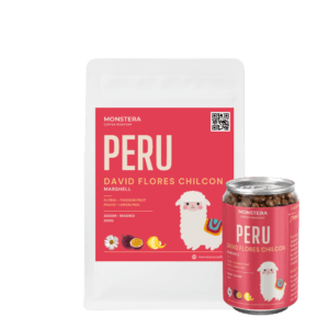 Peru - San Ignacio David Flores Chilcon