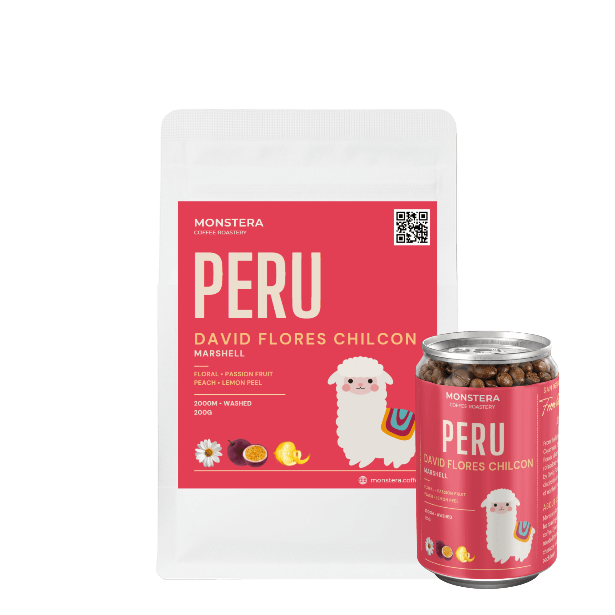 Peru - San Ignacio David Flores Chilcon