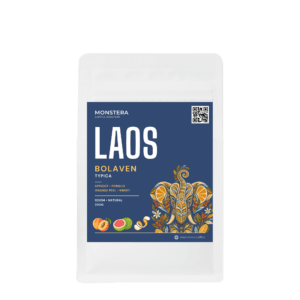 Laos - Bolaven Typica